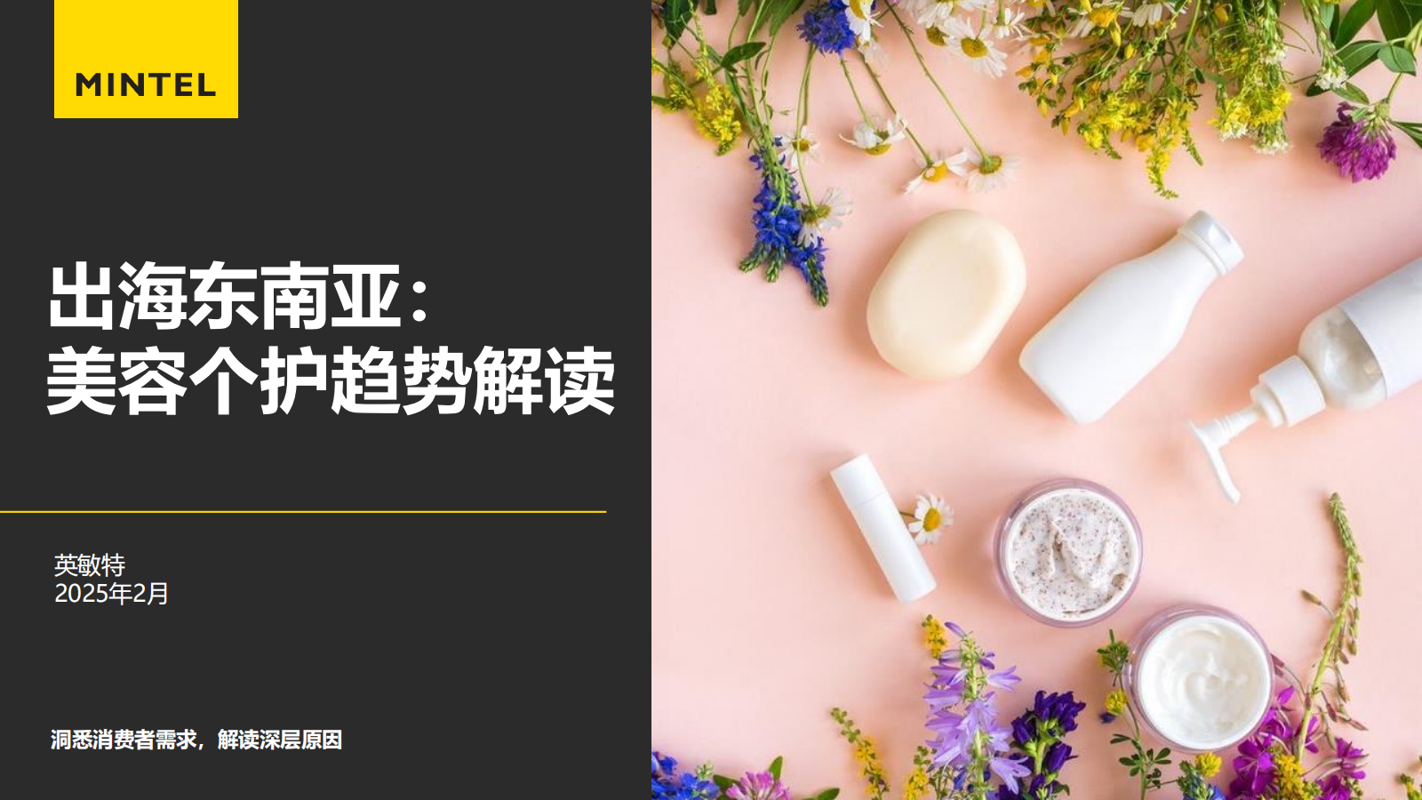 2025出海東南亞美容個護趨勢解讀報告<