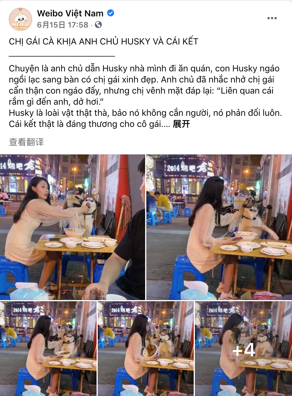 42a7555910366a18328dfa70380b8611.png