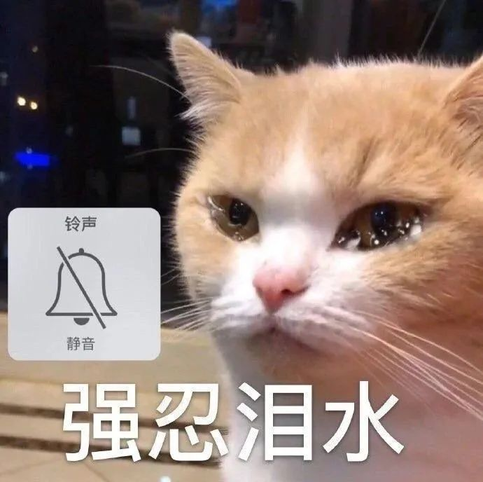 cff94ee95adb35dddd17851d24735d3d.png